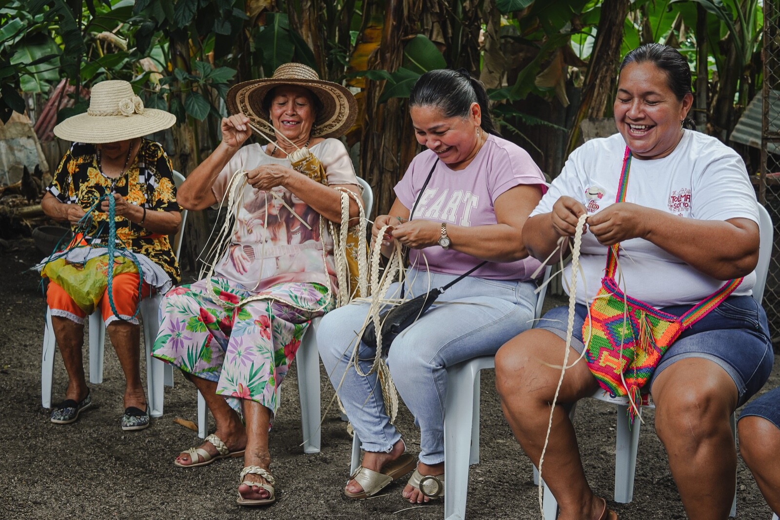 Sombrero de palma real es tradición viva y sustento de familias tolimenses