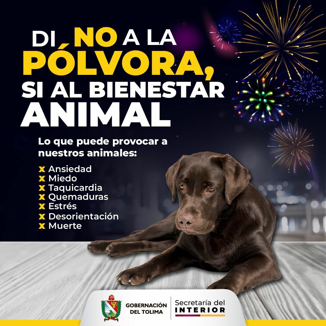 Tolima Pide No Usar Pólvora y Alerta sobre Graves Daños en Animales y Personas