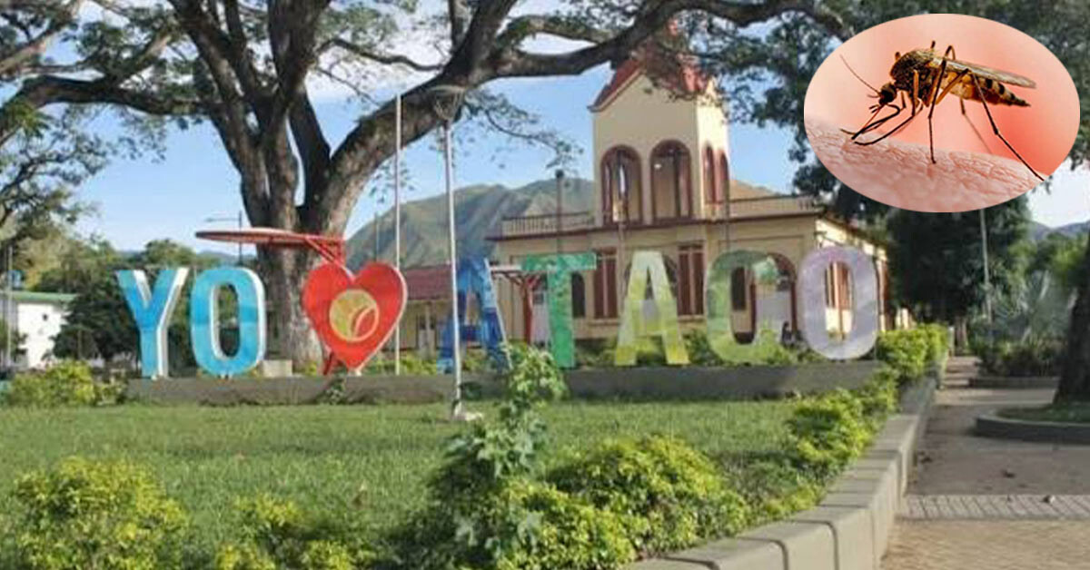 Malaria aparece en Ataco y autoridades investigan transmisión local